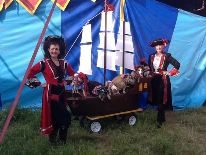 Gallery photo 4 of Pirates of Penzance- pirate puppy show