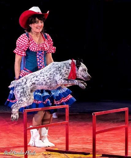 Gallery photo 5 of Pirates of Penzance- pirate puppy show