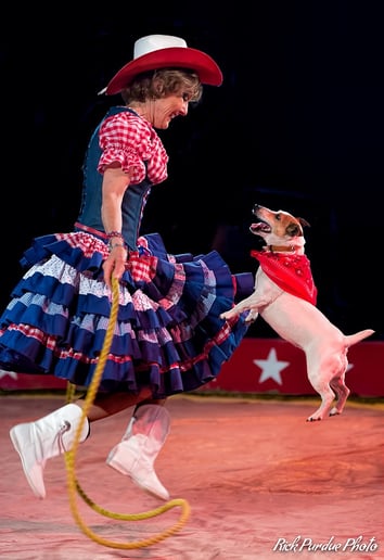 Gallery photo 6 of Pirates of Penzance- pirate puppy show