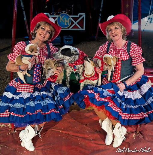Gallery photo 7 of Pirates of Penzance- pirate puppy show