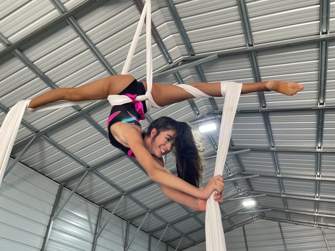 Gallery photo 3 of Silks