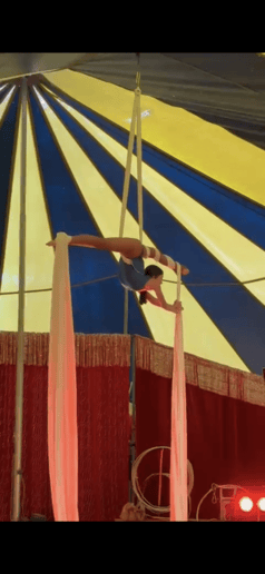 Gallery photo 4 of Silks