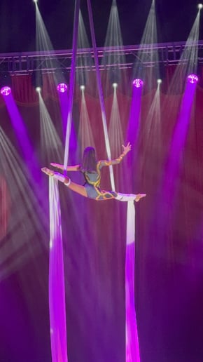 Gallery photo 6 of Silks