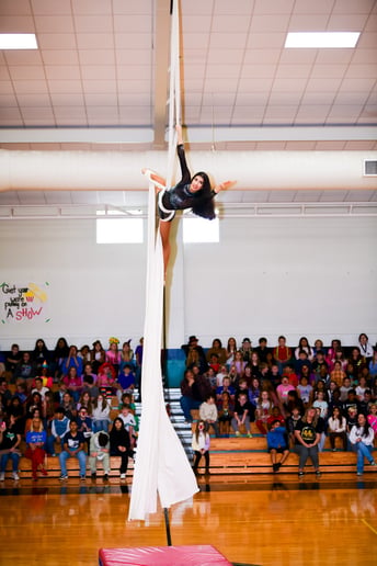 Gallery photo 8 of Silks