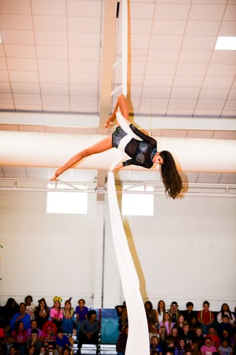 Gallery photo 9 of Silks