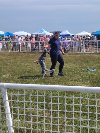 Gallery photo 2 of Silver Screen Canines