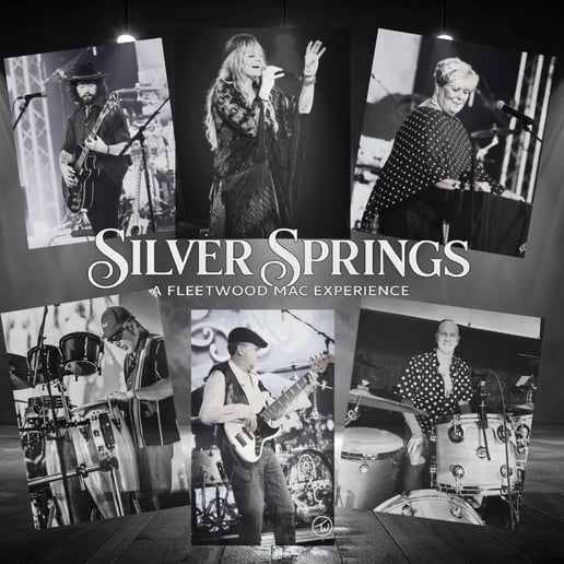 Gallery photo 1 of Silver Springs  Fleetwood Mac Experience