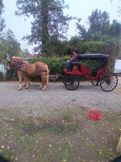 Gallery photo 2 of Silver Spur Carriage Company
