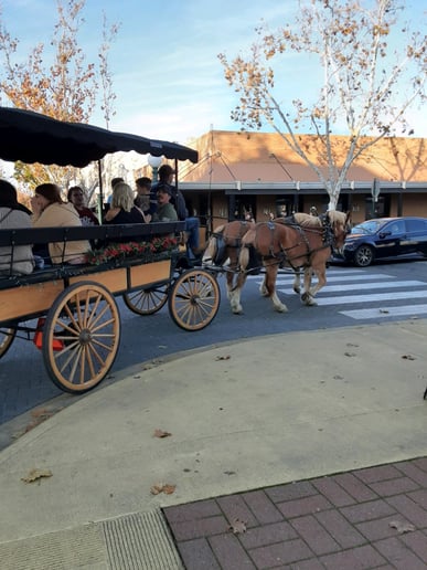 Gallery photo 3 of Silver Spur Carriage Company