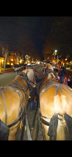 Gallery photo 5 of Silver Spur Carriage Company