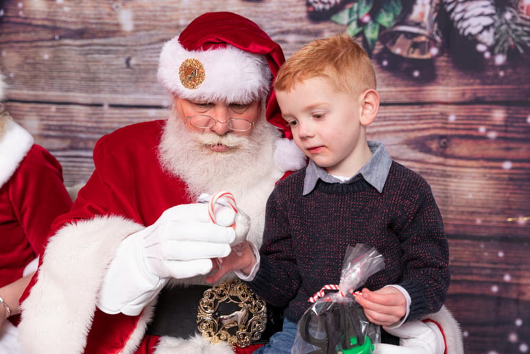Gallery photo 5 of Silver Star Santa