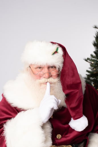 Gallery photo 7 of Silver Star Santa