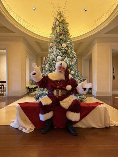 Gallery photo 9 of Silver Star Santa