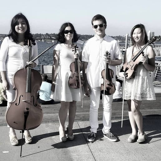 Gallery photo 7 of Silver Strings Ensemble