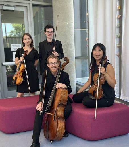 Gallery photo 3 of Windy City Strings