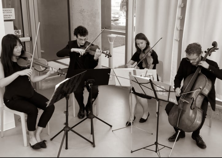 Gallery photo 2 of Windy City Strings