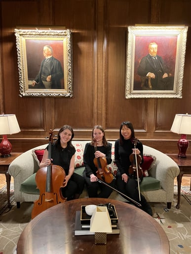 Gallery photo 9 of Windy City Strings