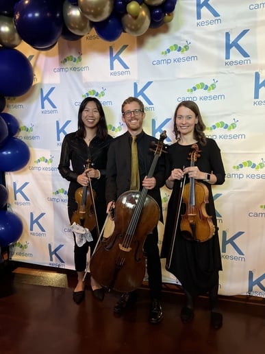 Gallery photo 10 of Windy City Strings
