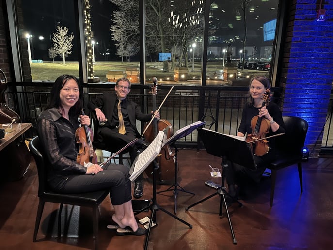 Gallery photo 11 of Windy City Strings