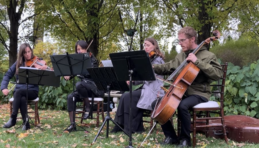 Gallery photo 12 of Windy City Strings