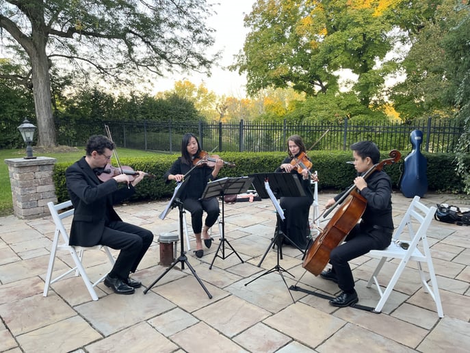 Gallery photo 14 of Windy City Strings
