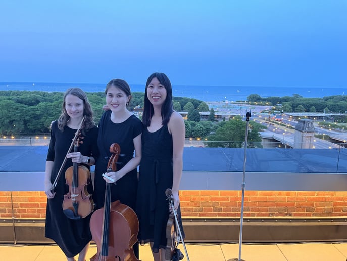 Gallery photo 19 of Windy City Strings