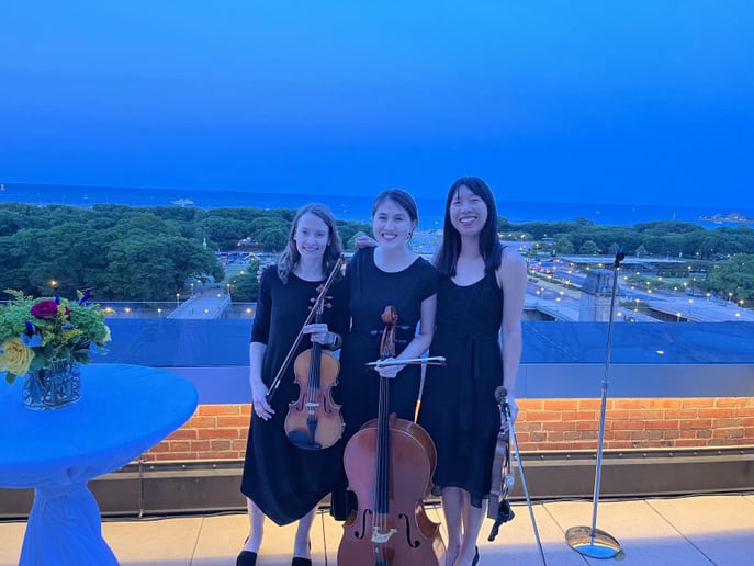 Gallery photo 20 of Windy City Strings