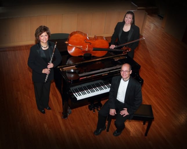 Gallery photo 1 of Silver & Strings Trio
