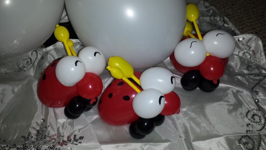 Gallery photo 21 of Simplicity's Wonderful World LLC