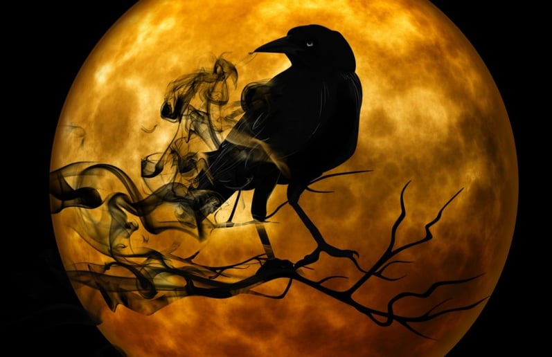 Gallery photo 8 of Simply Extraordinary Tales