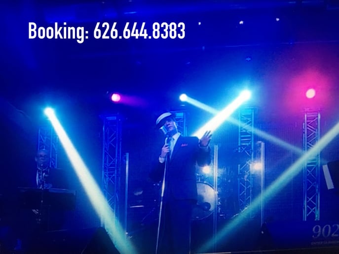 Gallery photo 1 of Sinatra Tribute starring Danny D