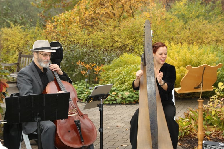 Gallery photo 1 of Sinfonietta Arts