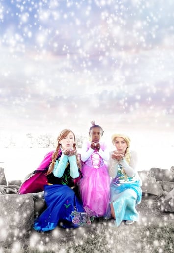 Gallery photo 4 of Sing Along Princess Parties, LLC.