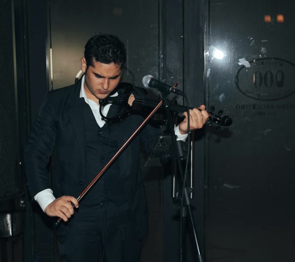 Gallery photo 1 of Singer and violinist