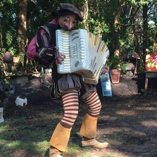 Gallery photo 3 of Singing Accordionist