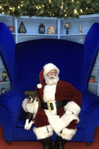 Gallery photo 5 of Santa Curtis