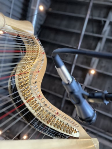 Gallery photo 2 of Singing harpist