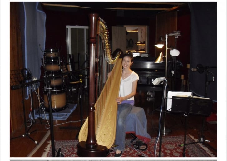 Gallery photo 3 of Singing harpist