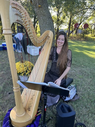Gallery photo 4 of Singing harpist