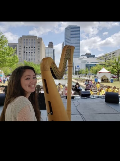 Gallery photo 8 of Singing harpist