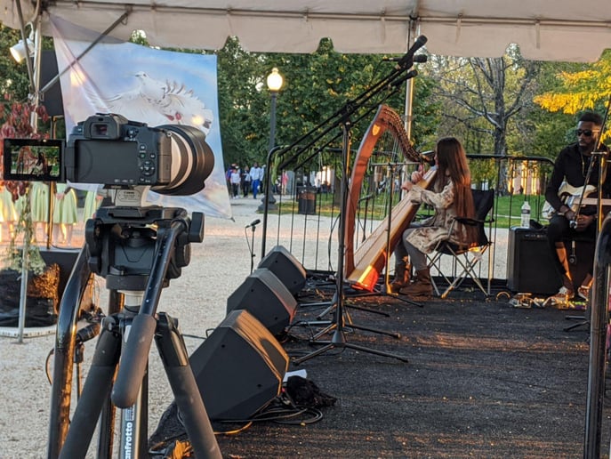 Gallery photo 10 of Singing harpist