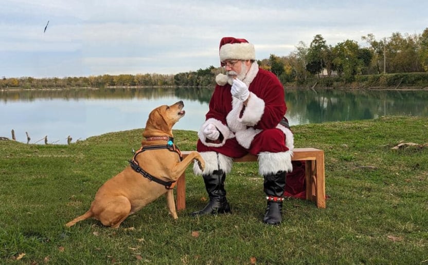 Gallery photo 1 of Singing Santa