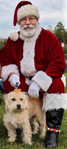 Gallery photo 5 of Singing Santa