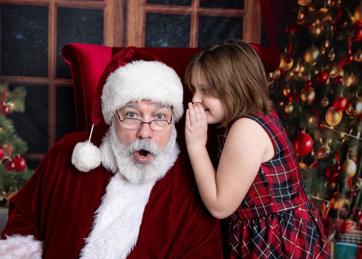 Gallery photo 6 of Singing Santa