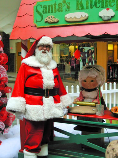 Gallery photo 12 of Singing Santa of the South