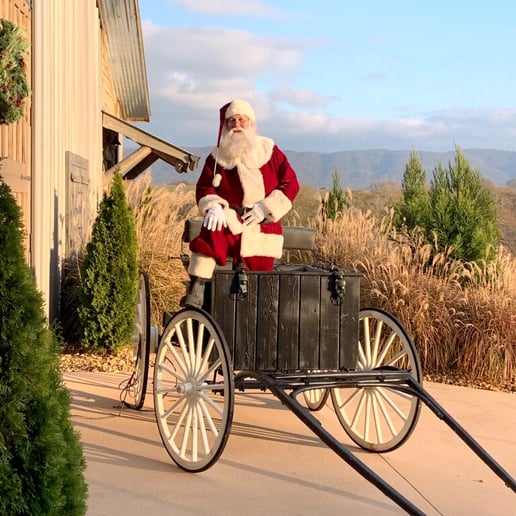 Gallery photo 5 of Singing Santa of the South