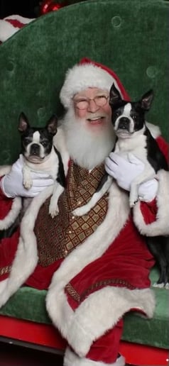 Gallery photo 6 of Singing Santa Rick