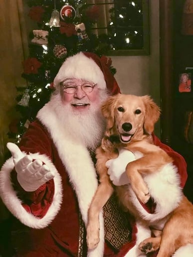 Gallery photo 7 of Singing Santa Rick