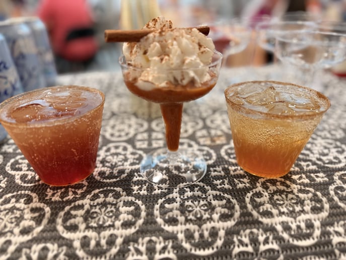 Gallery photo 29 of Sip N Social on Wheels LLC