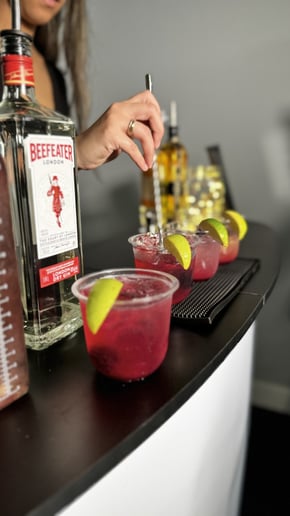 Gallery photo 4 of Sip Society Bartending